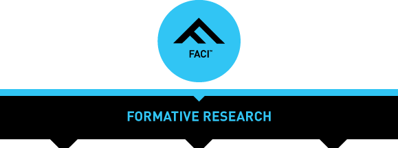 FACI Fromative Research